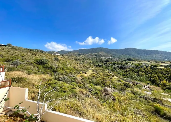 Villa Nysa8 Paphos