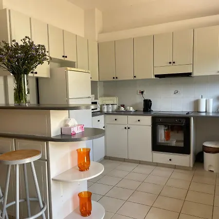 Nysa8 * Paphos